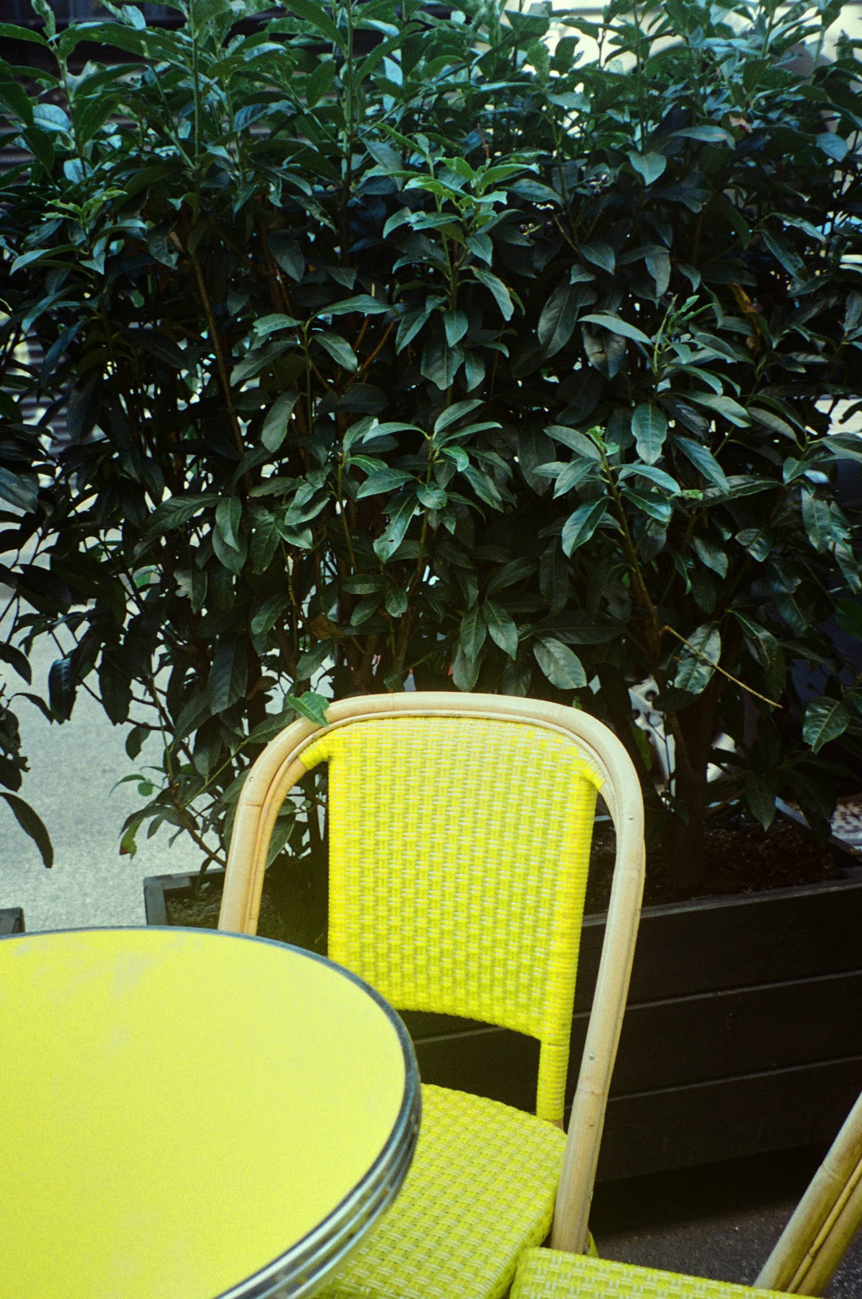 website_singles_01